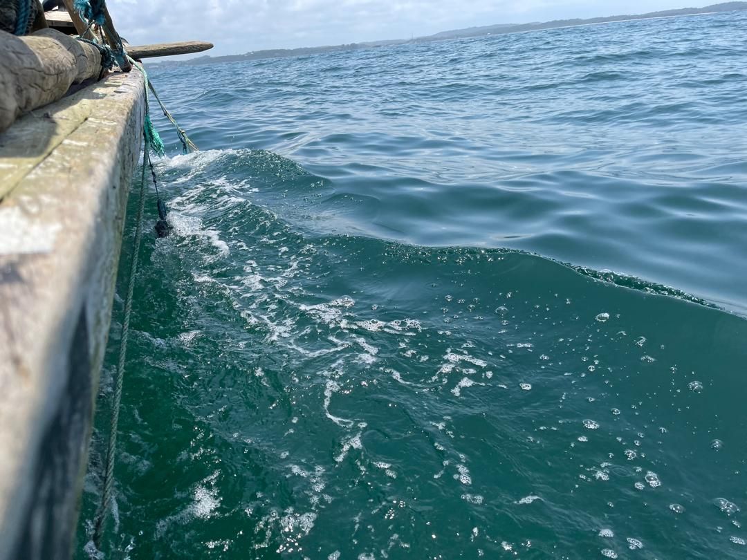 View from the boat during the day's fishing expedition off Dixcove